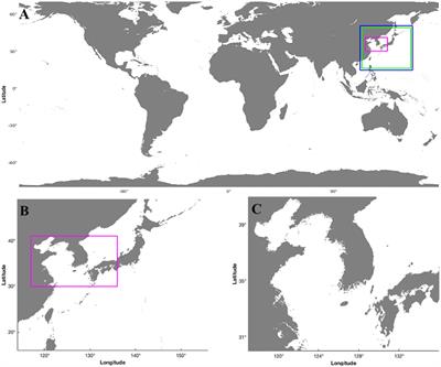 Development of the global tsunami forecasting system considering the dynamic interaction of tide-tsunami around the Korean Peninsula